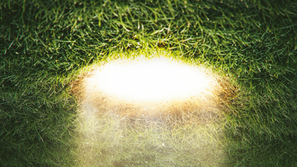 Alice in Wonderland Alice in Wonderland